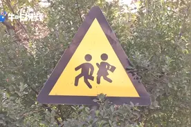 中小学周边百米内不得设置烟草零售点，这项规定实施的怎么样了？视频封面