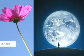 新版微信的小花花，背后的意义原来是这样，你知道吗？视频封面