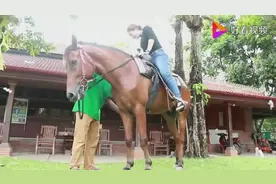 美女学骑马，腿又粗又短有点困难啊，马儿却很配合的驮着美女