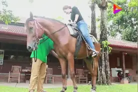 美女学骑马，腿又粗又短有点困难啊，马儿却很配合的驮着美女视频封面