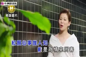 谢宜君《因为太爱你》一首台湾歌曲，不一样的感觉，好听视频封面
