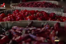 重庆火锅制作底料极为重要，一般炒料有3种辣椒视频封面