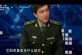 张召忠：美国一支神秘特种部队由总统直接领导，国会都不敢管！
