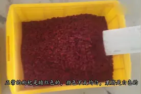 真假枸杞不好分辨，教你个小妙招，保证挑到都是好枸杞视频封面