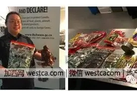 农历新年加国海关严查 这些东西都不能入境图片