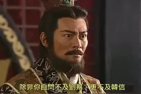 韩信一出兵，就把项羽打后悔了视频封面