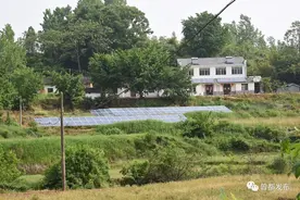 全省首批！曾都区农村生活垃圾治理通过省级验收图片