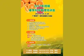 柑橘采果后注意保叶！图片