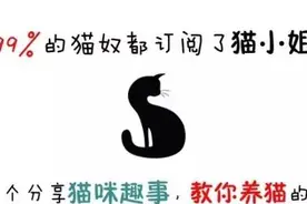 从前有只猫叫“爱因斯坦”，差点被安乐死，但是……图片