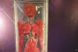 站着说话不腰疼？这有科学根据！图片