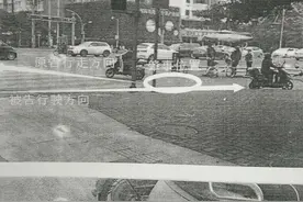电马儿撞死宠物狗 狗主人和司机闹进法院图片