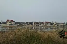 浙江嘉兴：实拍嘉兴农村，这里拥有万亩藕田，二层洋楼众多真养眼视频封面