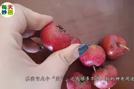 吃完山楂的籽不要丢掉了，其实它是个“宝”，留在家里省钱又实用视频封面