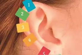 夹子夹耳朵就能治病？悬！图片