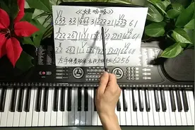 电子琴键盘示范小调歌曲《娃哈哈》轻松学会左手伴奏肢体和弦6256