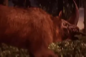 史前人类和史前犀牛躲不过超级火山的爆发，恐龙史前时代