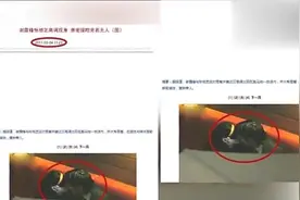 谢霆锋与张柏芝机场拥吻坐实三胎生父配图暴露真相视频封面