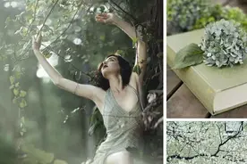 软装之魅清新优雅灰绿色图片