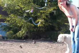 放大蜥蜴出来晒太阳，狗狗被吓的不敢靠近，如果猞猁上场会怎样视频封面