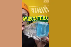 蚂蚁庄园第二弹，让你们久等啦#再见2018 @抖音小助手