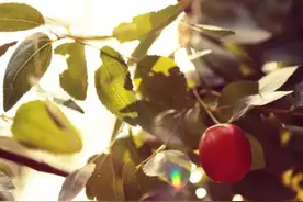 粉底液排行榜粉底液怎么用,粉底液哪个牌子好_中国美容网图片
