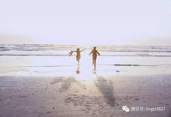 《情感攻略》「关于爱情，不得不知道的一些定理」