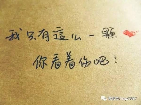 《情感攻略》「关于爱情，不得不知道的一些定理」