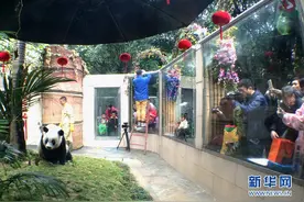 “巴斯”海外粉丝团：飘洋过海来看你图片