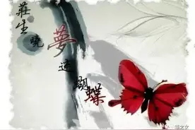 凤凰欢乐谷的蝴蝶图片