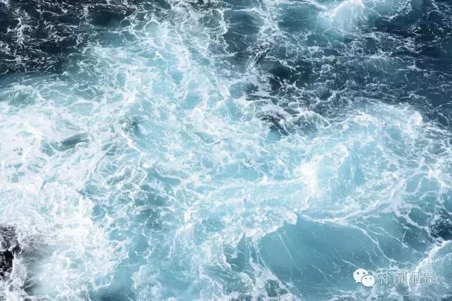 补剂中的添加剂以及迟来的“原来如此”