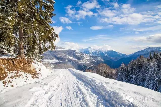 补剂中的添加剂以及迟来的“原来如此”