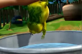 熊出没：熊二为了唤醒青蛙兄抓小强给它吃，把光头强家弄的一团糟视频封面