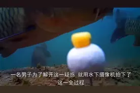 鱼在水里怎么上钩的？好奇的小哥用水下相机记录了这一过程！