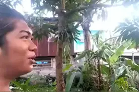 神技术！菲律宾男子通过嘴巴发出的特别声音吸引蚊子，一巴掌拍死20多只……#菲律宾 #趣闻视频封面