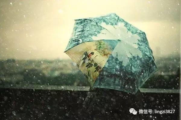 《情感攻略》「关于爱情，不得不知道的一些定理」