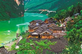 陈文森：让“绿水青山”成为群众致富的“金山银山”图片