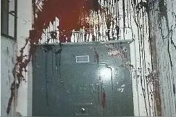 济南：丈夫欠70万高利贷逃债 妻女家门口频遭泼粪图片