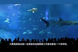 海洋馆建在内陆，那么海水是怎么做出来的呢？今天可算知道了