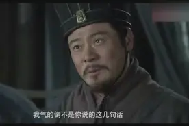 曹操被陈宫抓获，曹操：公台你认错人了 陈宫：你是曹操，曹孟德视频封面