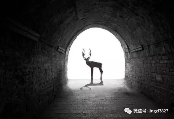 《情感攻略》「关于爱情，不得不知道的一些定理」