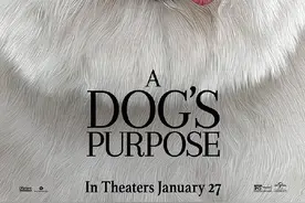 《一条狗的使命》角色海报 演绎狗狗的生命轮回图片