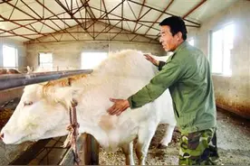 百余户龙头企业挑起脱贫攻坚大梁图片