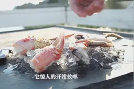 美国吃货发明剥蟹神器，秒开蟹钳取肉干净利落！