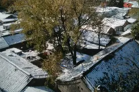 上海书评︱赵龙江：一通知堂短札图片