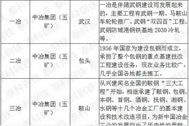 一冶、三冶、五冶……十九冶、二十冶、二十二冶，你明白吗？图片