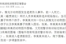 官方回应老虎咬人事件：死者未买票 翻越2道3米围墙进入老虎散放区图片