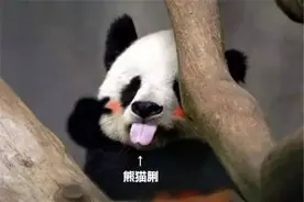 粤语不能不知道的禁忌，拜年时千万注意！图片