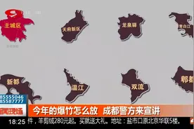 今年的爆竹怎么放，在哪放？2019年春节烟花爆竹管理视频封面