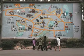 杭州动物园搬迁往事 承载了杭州人的美好回忆图片