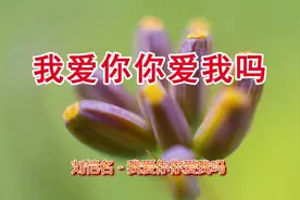 刘恺名情歌《我爱你你爱我吗》多想听听你的回答